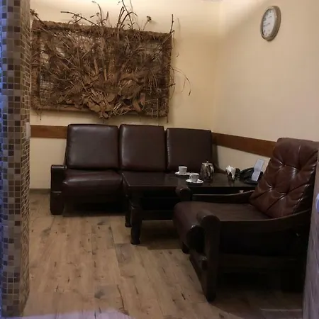索瑞派德酒店 酒店 *